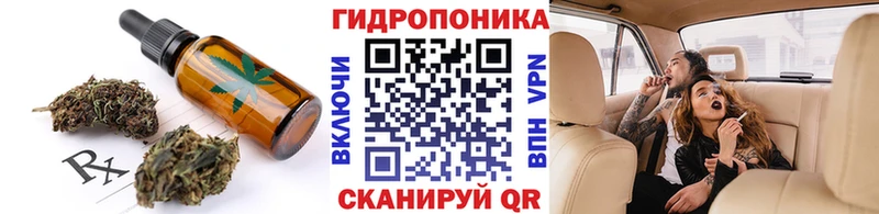 Cannafood конопля  Купить где  Болхов 