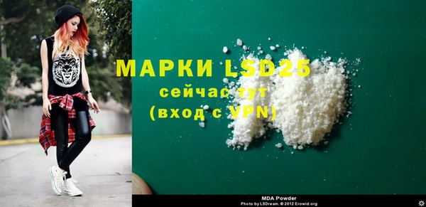 индика Новозыбков
