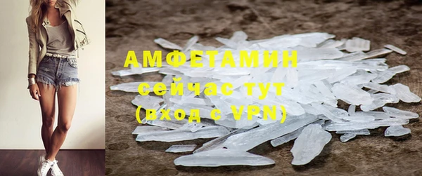 дживик Горняк