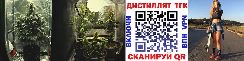 ТГК гашишное масло Купить Болхов
