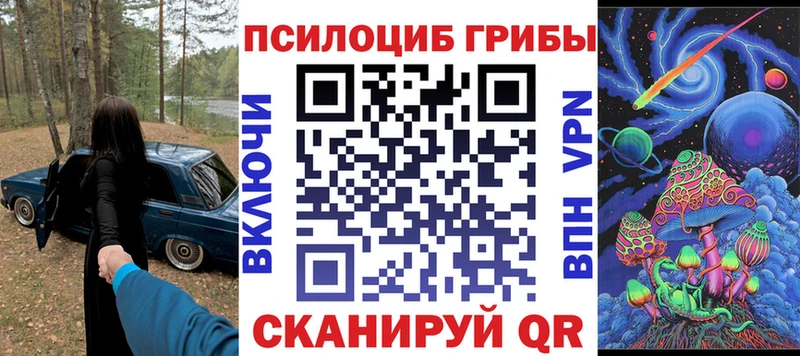Купить  Болхов  Галлюциногенные грибы Psilocybe 